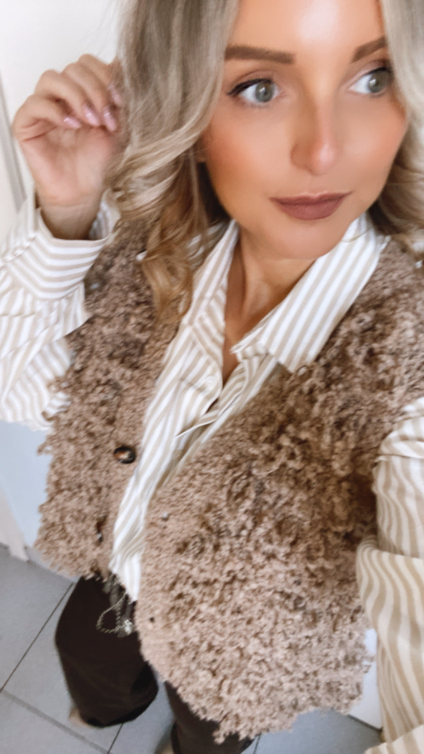 Labradoodle gilet